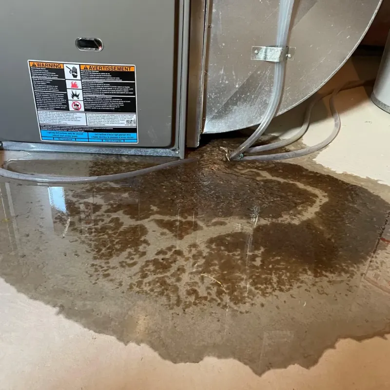 Appliance Leak Cleanup in Tillamook, OR